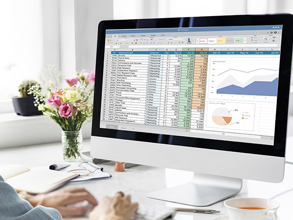 Maîtriser Excel
